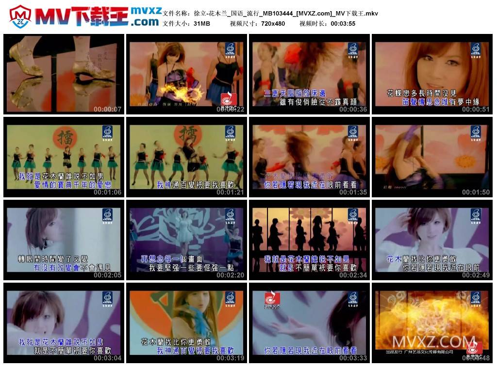 徐立-花木兰_国语_流行_MB103444